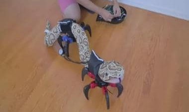 Watch: YouTuber designs robotic legs for snake, internet stunned