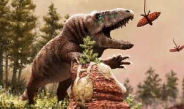 Extreme climate shifts long ago may have helped drive reptile evolution