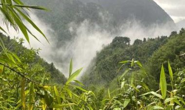 Jhoom cultivation, sustainable farming and mountain foods of Meghalaya