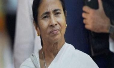 Bengal, Tripura, Meghalaya: How Mamata Banerjee's TMC is facing internal rifts and revolt amid corruption row