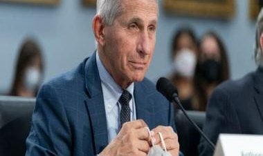 Dr Anthony Fauci to step down in December: How the top doctor became face of US’ COVID-19 response