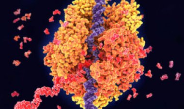 50 years ago, genes eluded electron microscopes