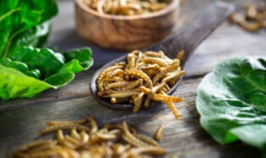 A new seasoning smells like meat thanks to sugar — and mealworms