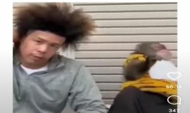 Watch: Monkey almost faints after seeing man's crazy hairstyle, internet in splits