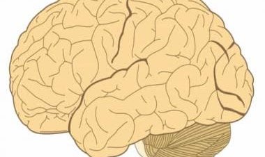 Identity of a human being: Who am I?