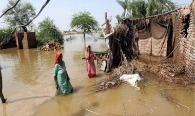 Explained: As floods wreak havoc in Pakistan, will India extend a helping hand?