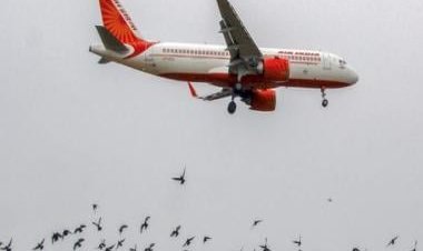 Watch: Video of Air India cabin crew consoling toddler wins hearts