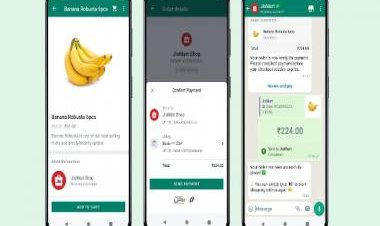 How to start shopping on JioMart via WhatsApp?