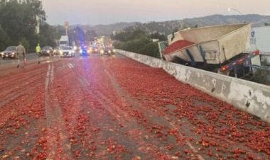 United States: California highway shut after truck carrying 1.5 lakh tomatoes crashes