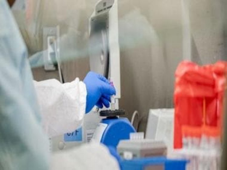 China develops another novel virus; 35 cases reported already