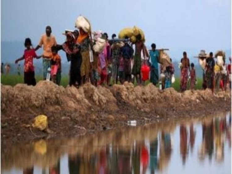 Rohingya row: ‘Terrible decision. CAA doesn't need to be justified by monkey-balancing’