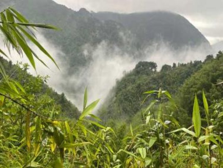 Jhoom cultivation, sustainable farming and mountain foods of Meghalaya