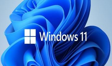 What is Windows 11 Ghost box issue? How to fix it?