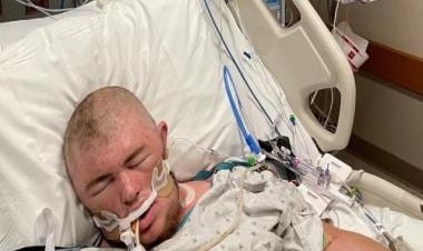 Ohio man escapes death after getting stung '20,000 times' by bees