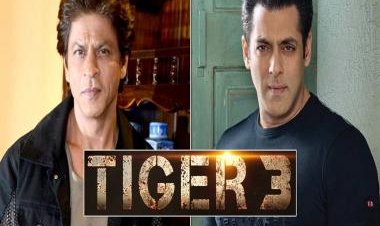 Salman Khan and Shah Rukh Khan to shoot for Tiger 3 this month