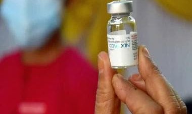 COVID-19: India's first nasal vaccine by Bharat Biotech gets drug panel's nod for 'restricted use'