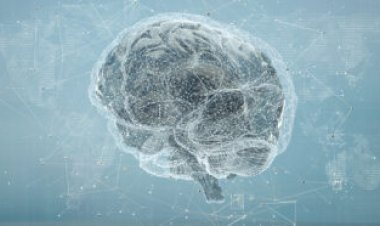 An AI can decode speech from brain activity with surprising accuracy