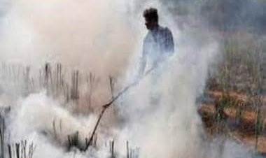 An organised, robust response to stubble burning is need of the hour