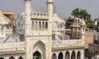 10 archaeological finds that clinched the Gyanvapi case for Hindu side