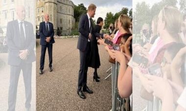 Prince Harry warmly comforts pet labrador at Windsor; photo wins Internet