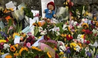 Explained: Why Paddington Bear toys, marmalade sandwiches have been banned at Queen’s tribute sites