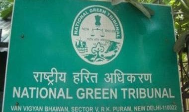 NGT summons Noida DM along with three chiefs of development authorities over encroachment of 209 ponds