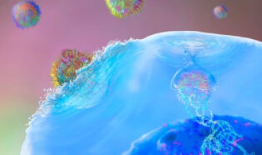 5 people with lupus are in remission after CAR-T cell treatment
