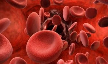 Five home remedies to boost your platelet count