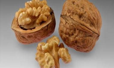 From improving cognitive functions to weight loss: Five health benefits of eating walnuts regularly