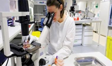 Digital pathology revolution: Streamlining the rush