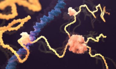 Has AlphaFold actually solved biology’s protein-folding problem?