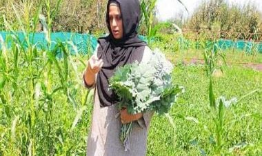 Insha Rasool, organic farming and the HomeGreens tale from Kashmir