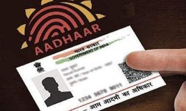 Watch: Guests asked to show Aadhaar card before entering wedding venue