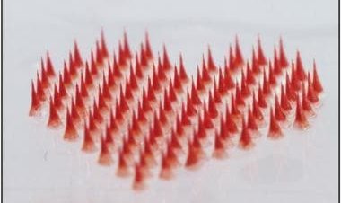 World Heart Day 2022: How health technology tools help control cardio-metabolic diseases