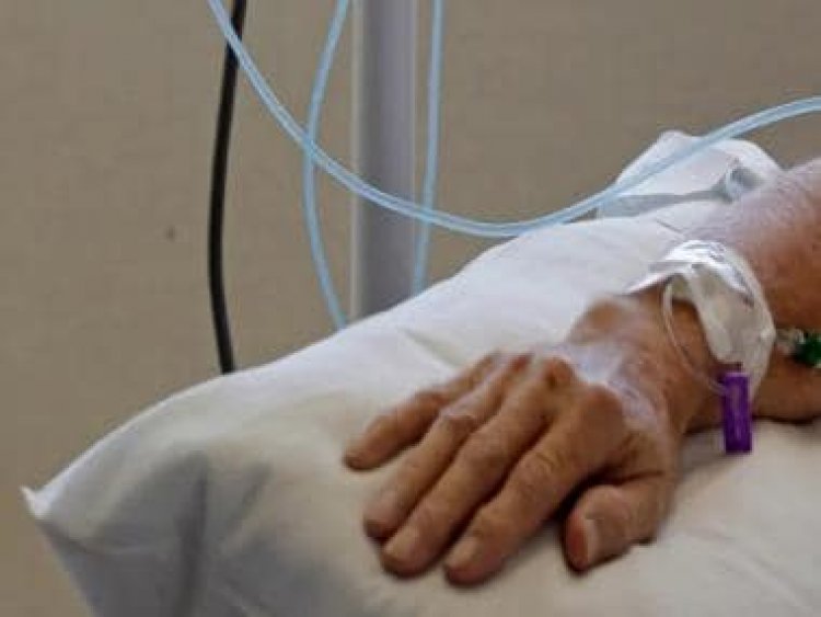 World Rose Day for Cancer Patients: Know history and significance