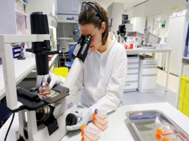 Digital pathology revolution: Streamlining the rush