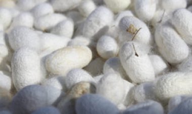 A metal ion bath may make fibers stronger than spider silk