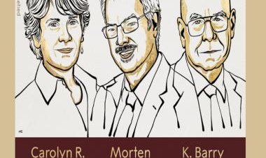 Watch: Danish chemist receives warm greetings from students, colleagues after winning Nobel Prize