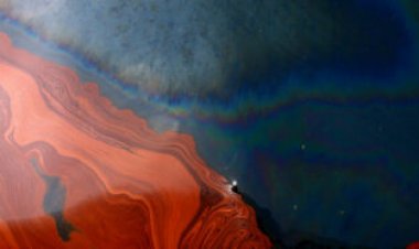 50 years ago, scientists found a new way to clean up oil spills