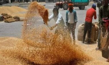 How structural and policy reforms made most populous India better governed than small population West
