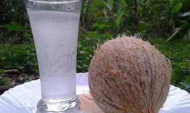 Coconut water: Five health benefits you may not know