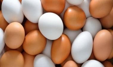 Watch Egging on: All what you can do with eggs this weekend