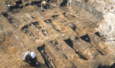 Black Death immunity came at a cost to modern-day health