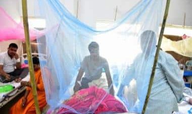 The Sting is Back: How dengue has wreaked havoc in India as well as Pakistan and Sri Lanka