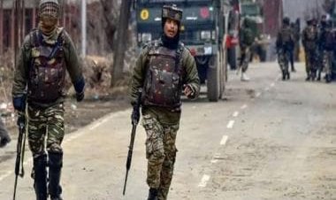 Assam government withdraws AFSPA from West Karbi Anglong, says district no more 'disturbed area'