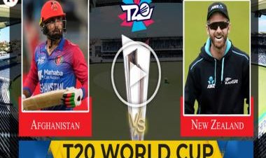 New Zealand vs Afghanistan T20 World Cup HIGHLIGHTS: Match called off due to rain
