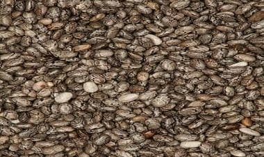 Are chia seeds good for health? 5 reasons why answer is yes
