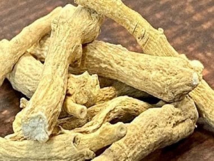 Six ways to consume Ashwagandha for managing sugar levels
