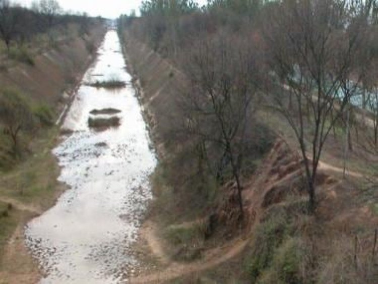 Punjab, Haryana chief ministers discuss the Sutlej-Yamuna Link canal: What is the decades-long dispute?