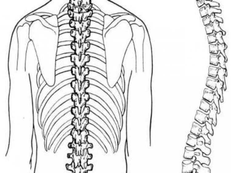 Is your sleeping posture affecting your spine? Know from expert